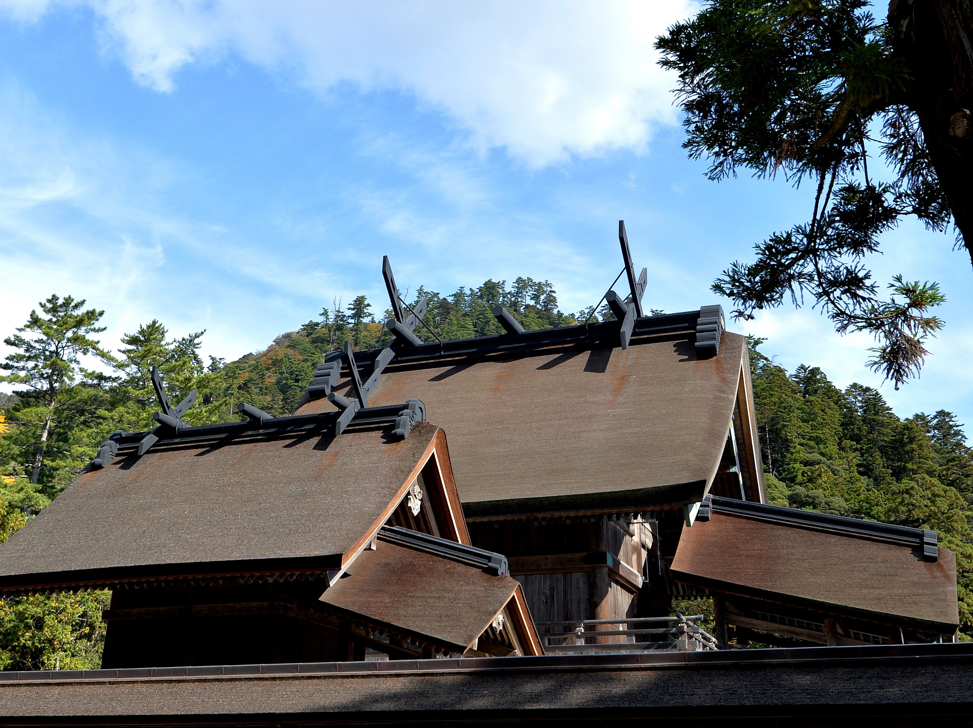 出雲大社本殿は屋根の大きな千木が印象的。写真手前の社にはタギリヒメノミコトが祀られる。