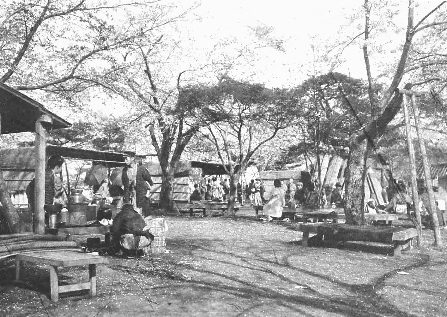 飛鳥山。渋沢栄一は1901年からここに居を構えた。（写真：国立国会図書館）