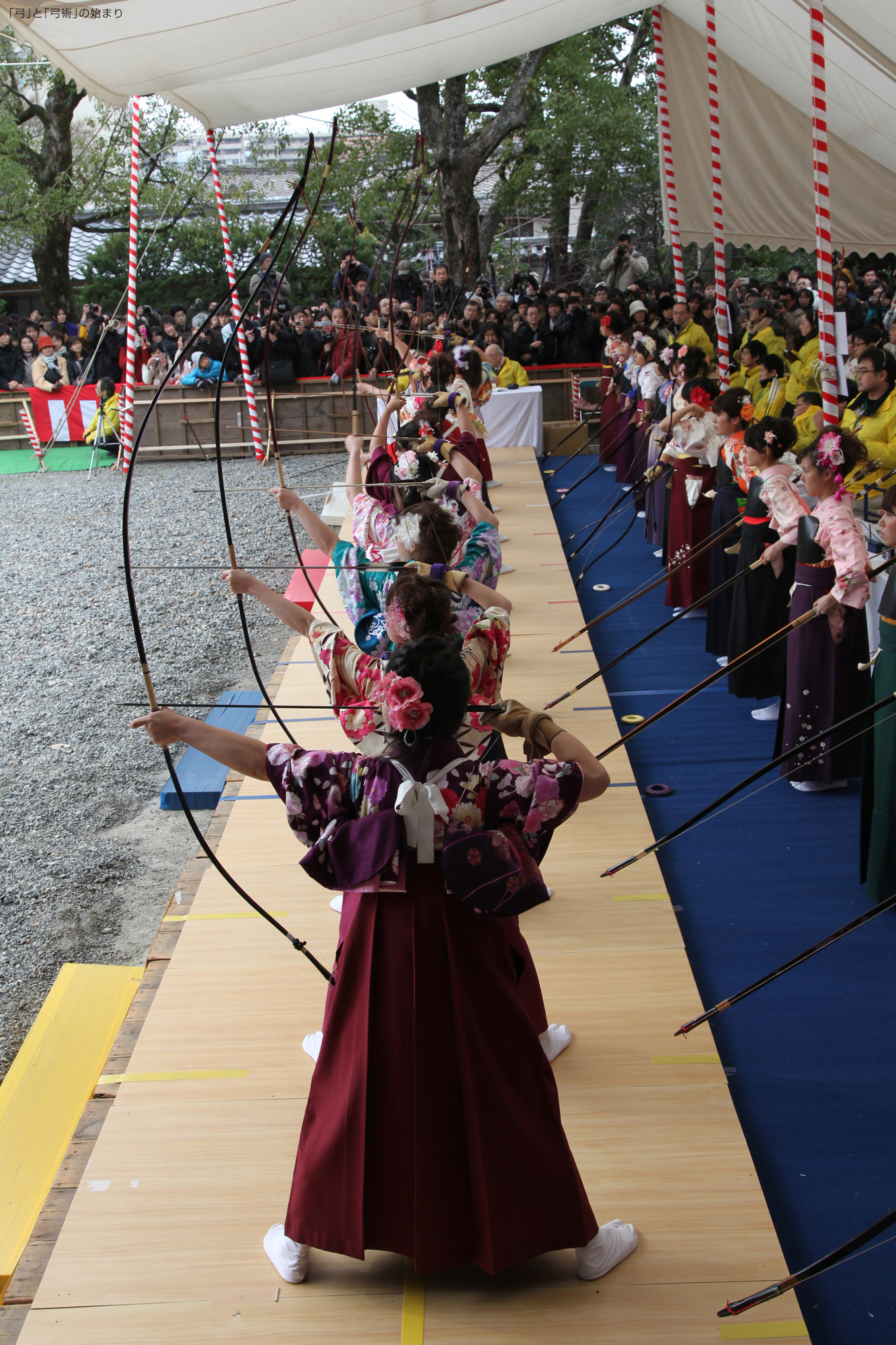 「通し矢」から由来する「大的全国大会」