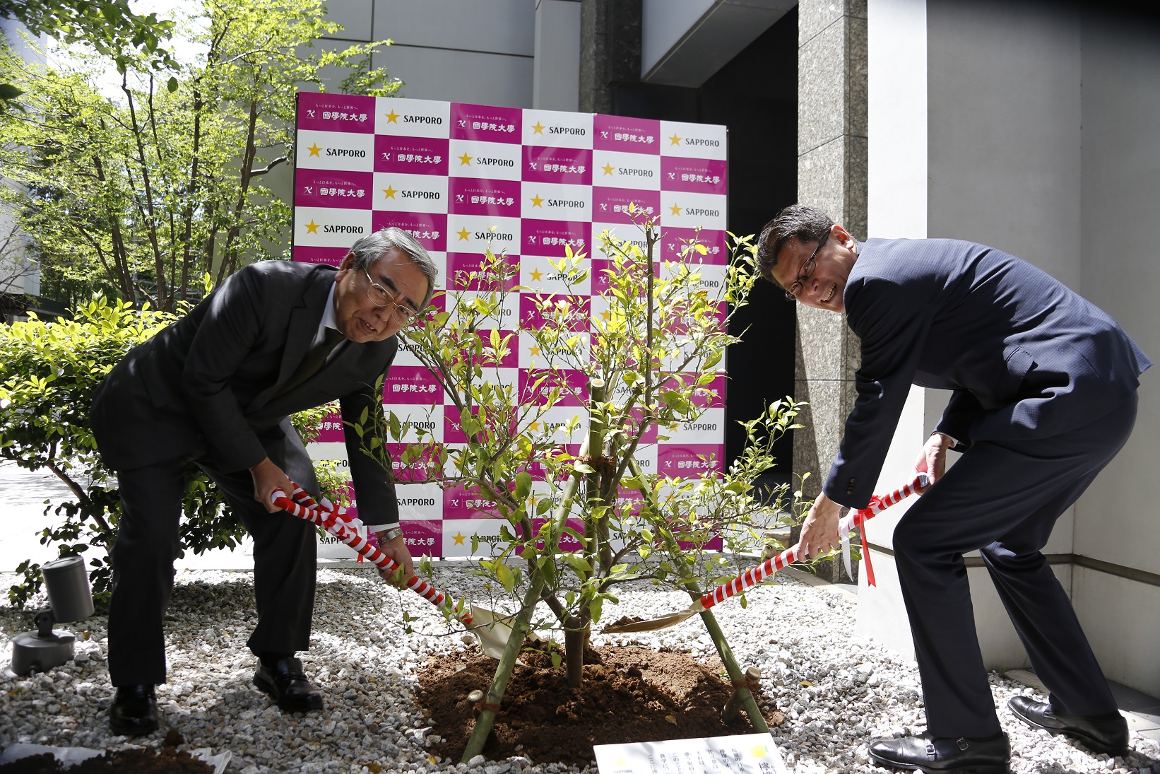 レモンを植樹