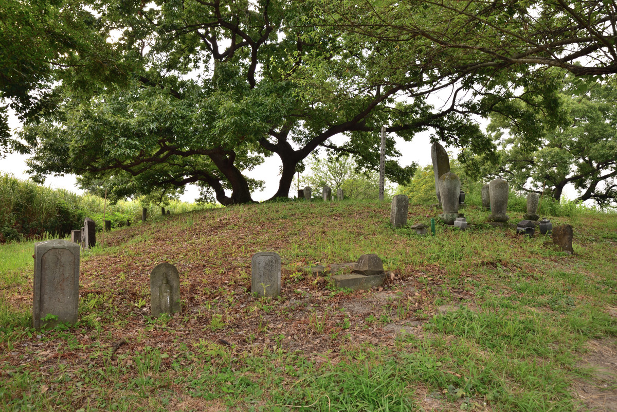 渡良瀬遊水地、旧谷中村の延命院墓地跡。