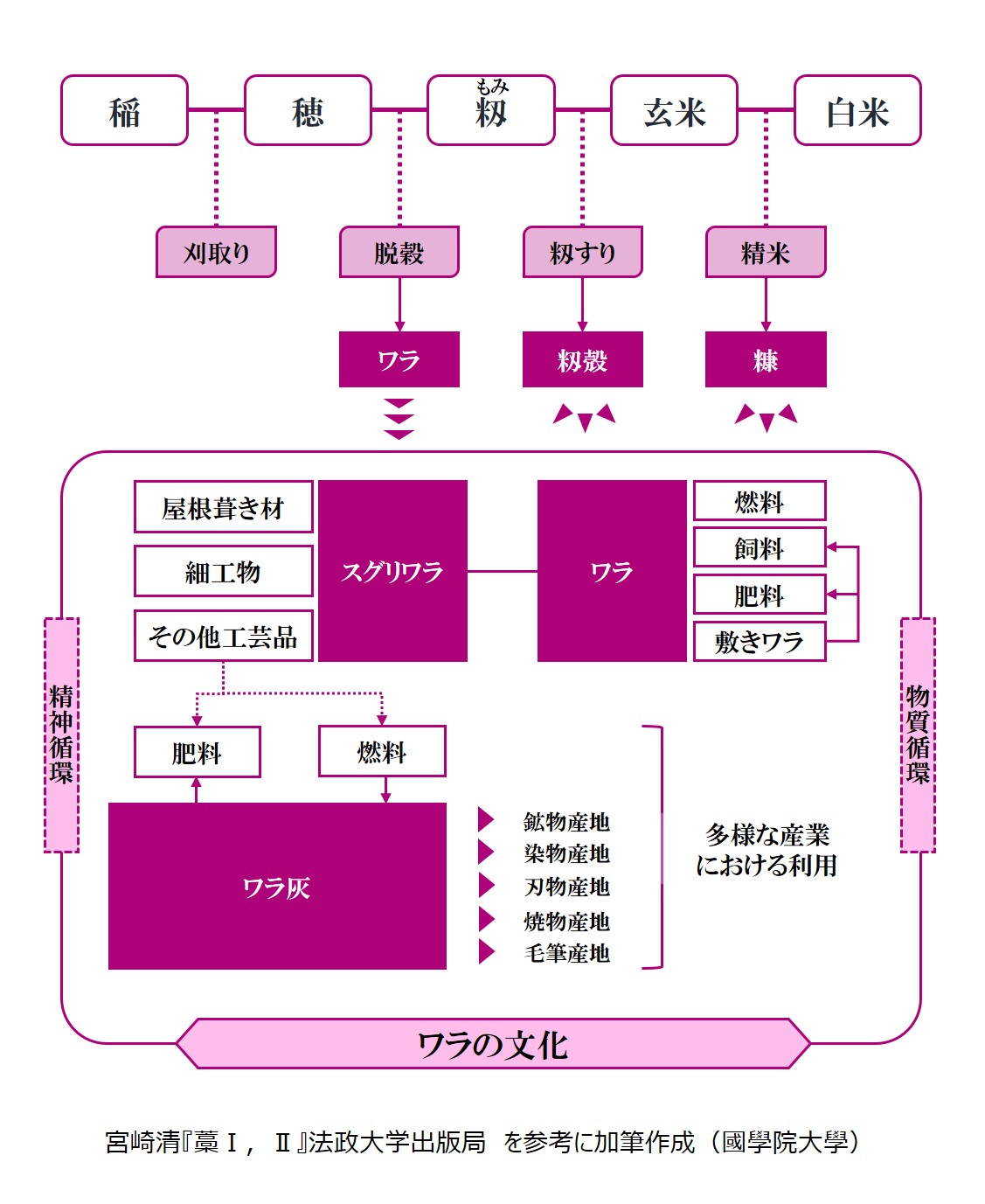 ワラ文化のエコロジー的展開図。